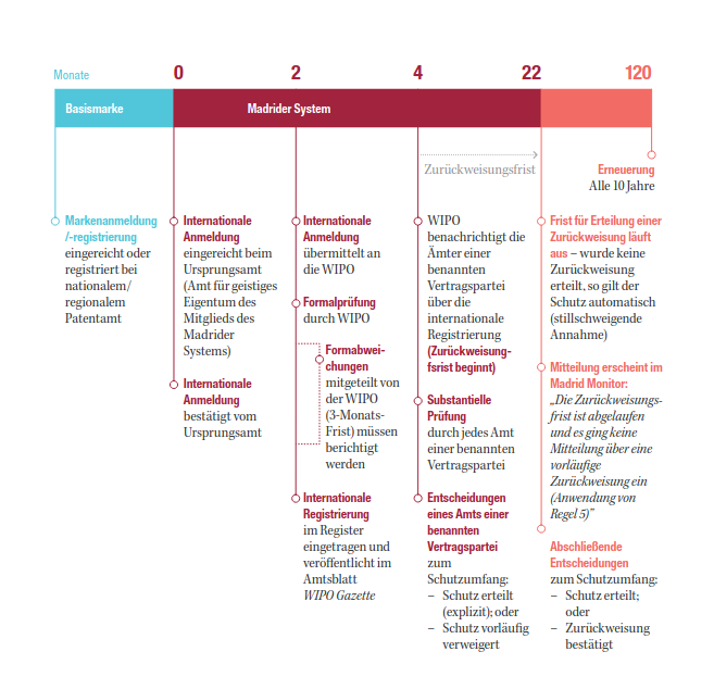 Übersicht über den Anmeldeprozess und der Dauer einer internationalen Markenanmeldung.