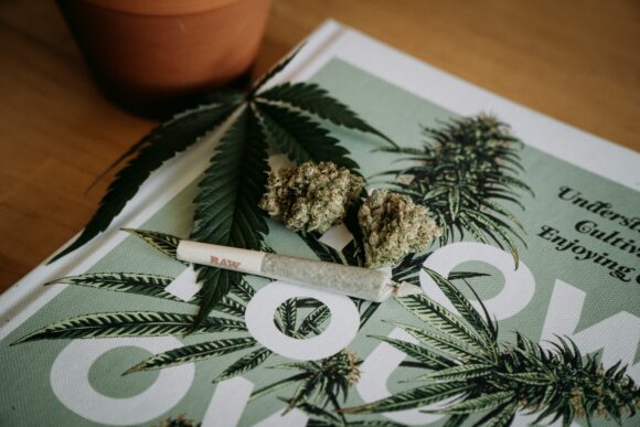 Cannabis 🌱  So BtM-Eintrag bei der Polizei löschen lassen!
